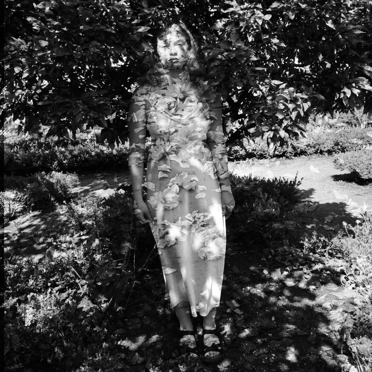 ReFocus Awards Donna Gordon Nominee Portrait refocus-awards-donna-gordon-nominee-portrait